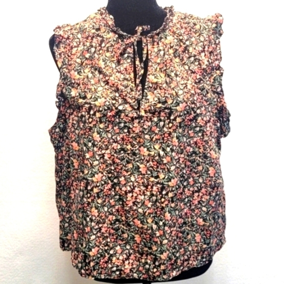 BB DAKOTA BY STEVE MADDEN Size XXL Ruffle Cap Sleeve and Neckline with T… - Picture 1 of 7